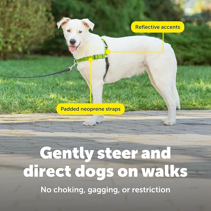 PetSafe Deluxe Easy Walk No Pull Dog Harness, Apple Green, Medium/Large | Padded Neoprene Straps, Reflective Strips for Night Safety, Martingale Loop Curbs Pulling from the Chest, Not the Throat