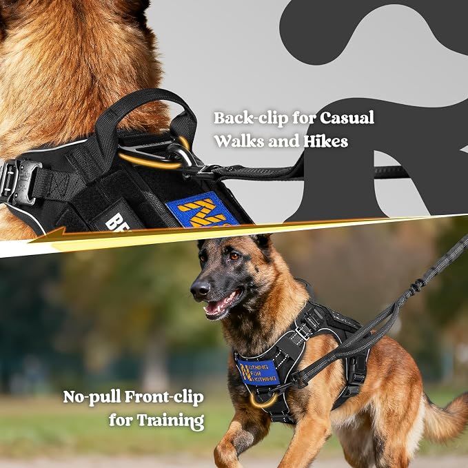 rabbitgoo Tactical Dog Harness for Small, Heavy Duty Military No Pull Vest | Sturdy Metal Buckles, 5 Adjustments, Molle System, Powerful Pullers for Training, Hunting, Outdoor, Black Reflex, Small