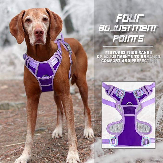 BARKBAY Dog Harness No Pull for Medium Sized Dog Front Back Clips,Dog Vest | Soft Padded No Choke With Handle,Easy On&Off,Adjustable Reflective For Walking Training Running(Violet Purple & Purple,M)