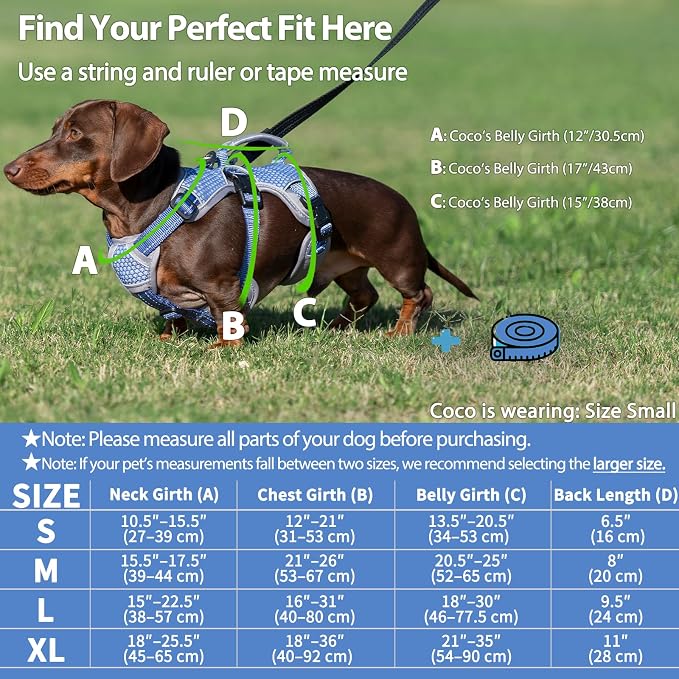 Escape Proof Dog Harness, Dachshund Harness, Reflective Dog Harness with Handle, Durable,Adjustable Vest for Small Medium Large Dogs Walking, Training, and Running Gear (Technicolor Blue,S)