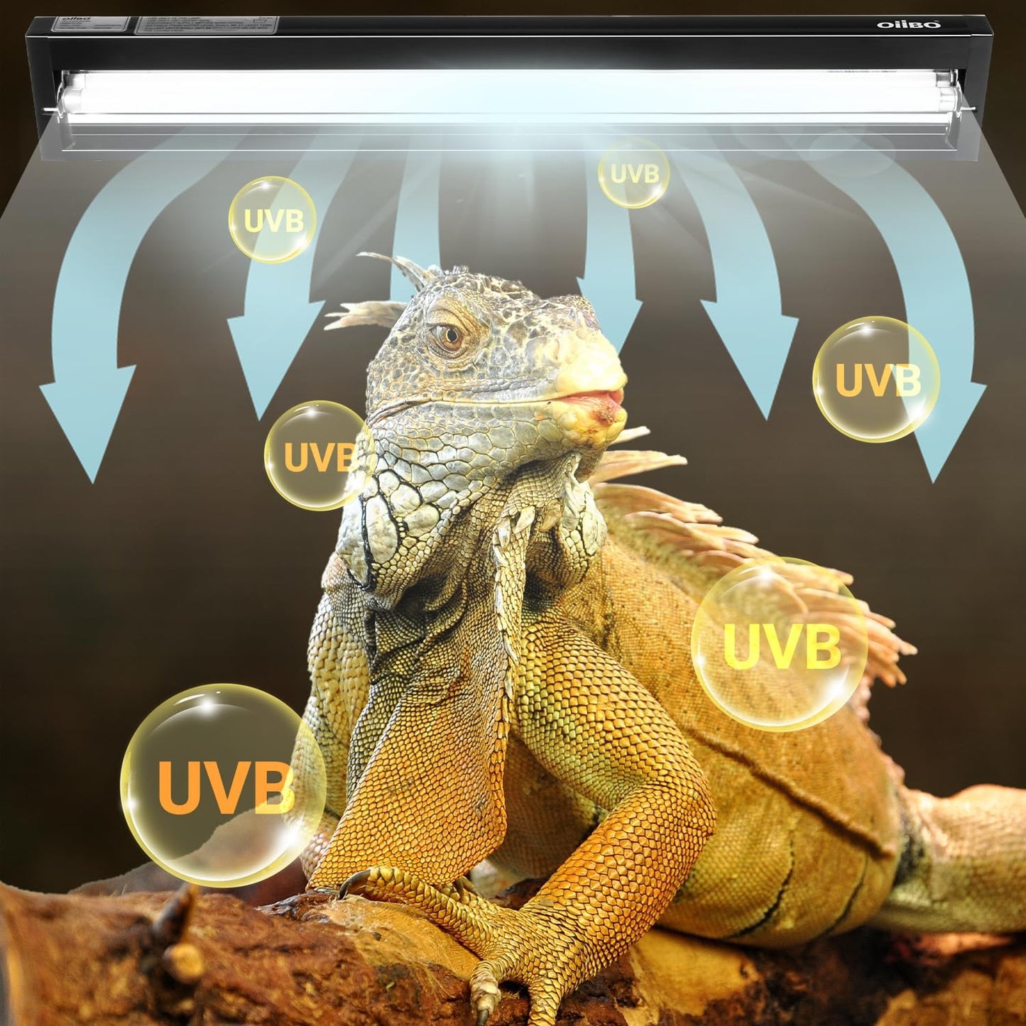 Oiibo T5 HO Reptile Light Fixture UVB Lighting Combo Kit, Terrarium Lamp Hood Light with UVB 10.0 for Bearded Dragon, Gecko, Lizard (39W)