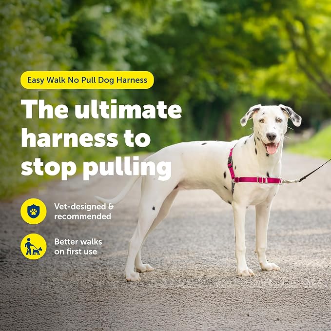PetSafe Easy Walk Harness, No Pull Dog Harness, Raspberry, Medium/Large | Patented Martingale Loop Gives Gradual Shoulder Pressure to Stop Pulling, Front-Chest Leash Clip Prevents Gagging