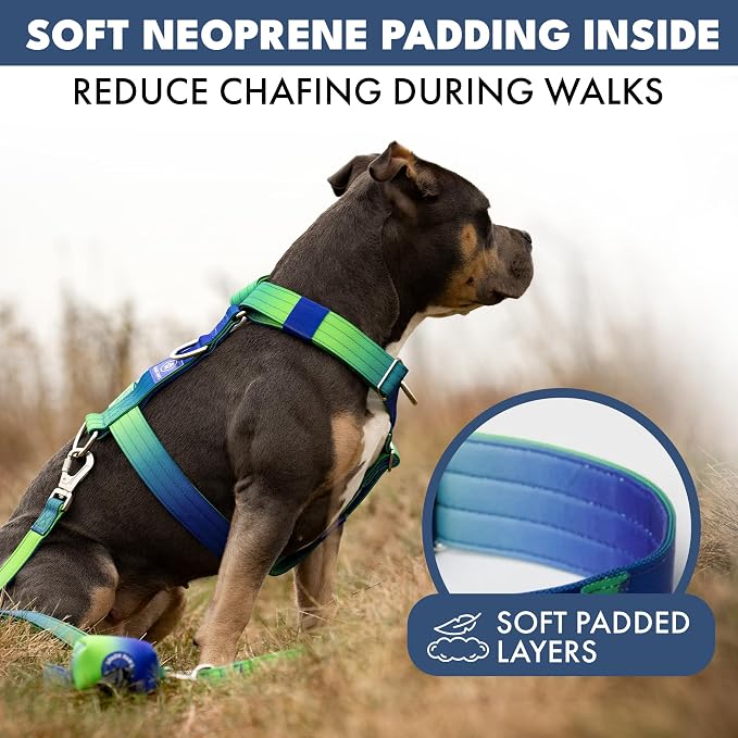 Spark Paws Comfort Control No Pull Dog Harness - Heavy Duty Front Clip | Safety Tested for Strong Breeds, w/ Metal Buckle & Top Handle – Padded Y-Straps Redirect Pulling. Solo or Matching Leash Set
