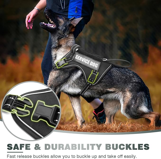 Tactical Dog Harness, No Pull Dog Harness for Medium Large Dogs with Handle & Molle, Military Service Dog Vest Harness in Training Pet Harness for Small Dogs