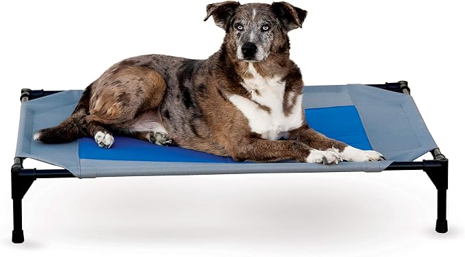 K&H Pet Products Coolin' Pet Cot, Outdoor Cooling Elevated Dog Cot for Large Dogs, Raised Bed with Cool-Core Center, Portable Pet Platform with Heavy-Duty Metal Frame - Large Gray/Blue
