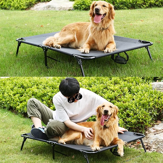 Elevated Raised Small Meduim Dog Bed Cots Cooling Foldable | No Assembly Need Pet Hammock Bed with Breathable Mesh, Indoor Outdoor Dog Pet Bed for Small Meduim Dogs, Chew Proof, Black