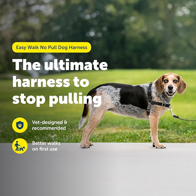 PetSafe Easy Walk Harness, No Pull Dog Harness, Black, Small/Medium | Patented Martingale Loop Gives Gradual Shoulder Pressure to Stop Pulling, Front-Chest Leash Clip Prevents Gagging