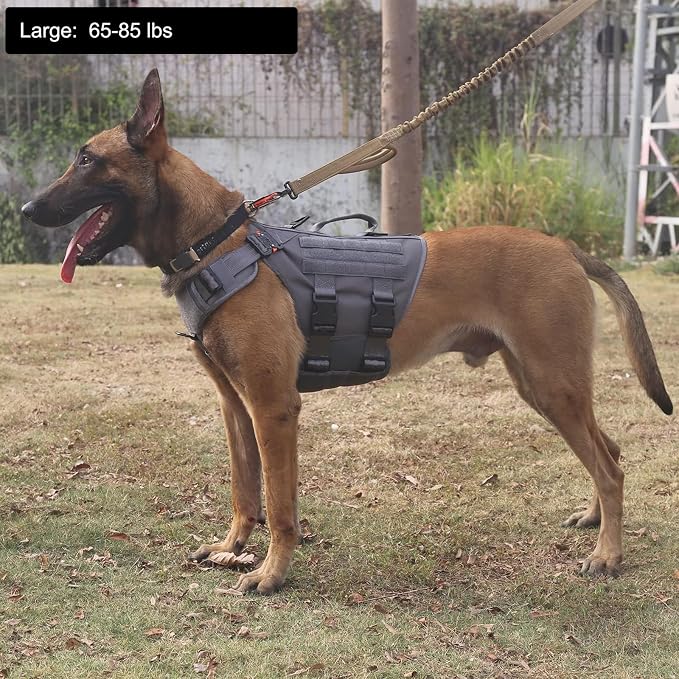 ICEFANG No Pull Tactical Dog Harness for Large Dogs,Adjustable Dog Vest | Control Handle,MOLLE Panel,Front Hook,3 Leash Clips,Soft Padded,for walking training,Grey,Large