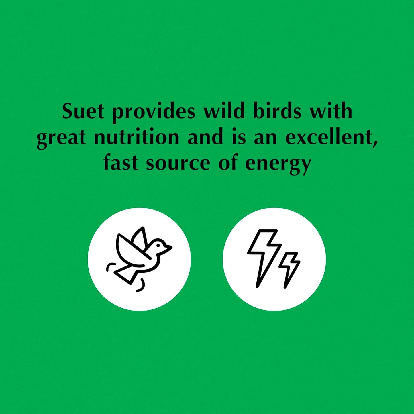 C&S Cranberry Delight No Melt Suet Dough 11.75 Ounces 8 Pack