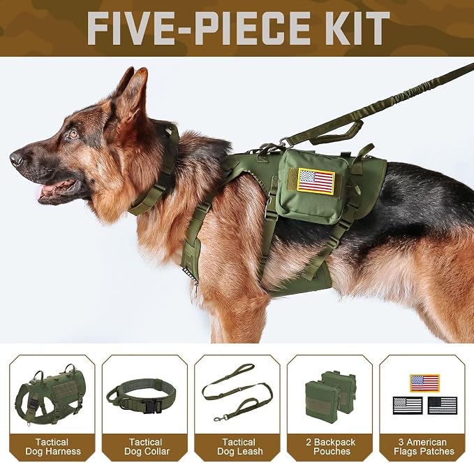 Forestpaw Tactical Dog Harness Collar Bungee Leash Set,M,Green | Adjustable Fits 22-35" Chest,30-80 lbs,No Pull Control Military Style,Quick Release Buckle,Walking Training for Medium Dogs