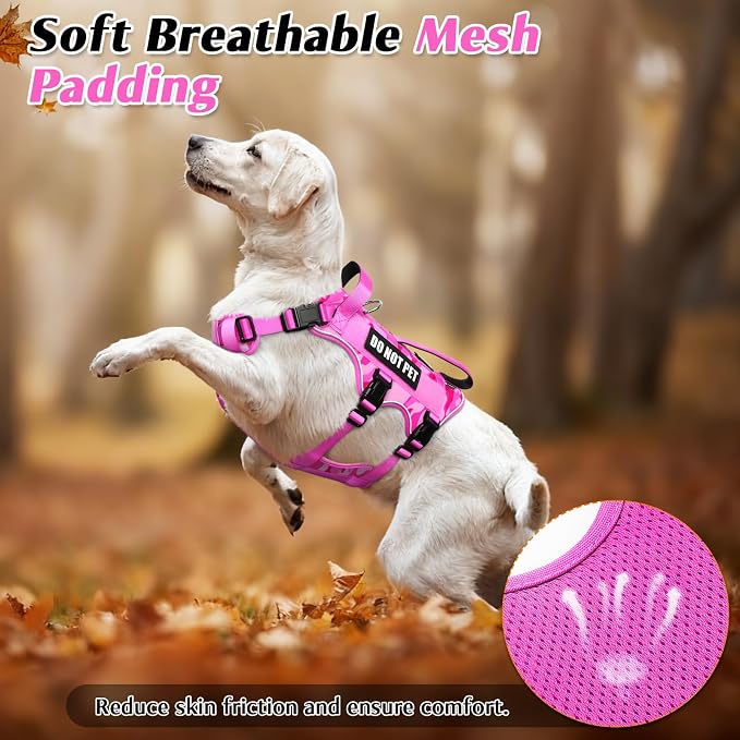 Escape Proof Dog Harness with Double Handle+4 Removable Patches | Service Working Molle Harness with Double Handle for Medium Dogs, Tactical Pet Reflective Vest for Walking Hiking Hunting