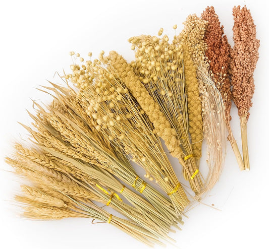 ZIPPYPET Hamster Sprays and Forage Accessories for Cages, Pet Mouse Decor Textures (7)