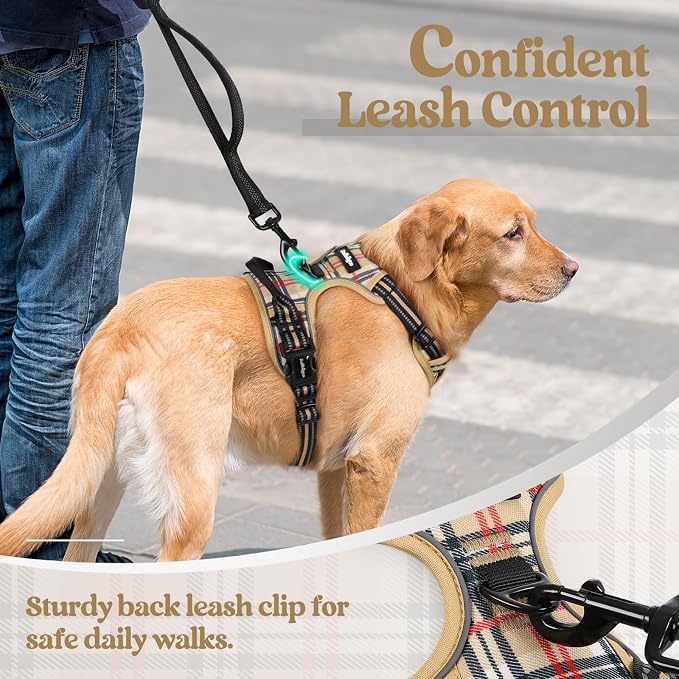 rabbitgoo Dog Harness, No Pull Medium Sized with 2 Leash Clips, Pet Vest | No Choke with Handle, Adjustable Soft Padded, Reflective, Easy Control for Walking, Beige Plaid, Medium