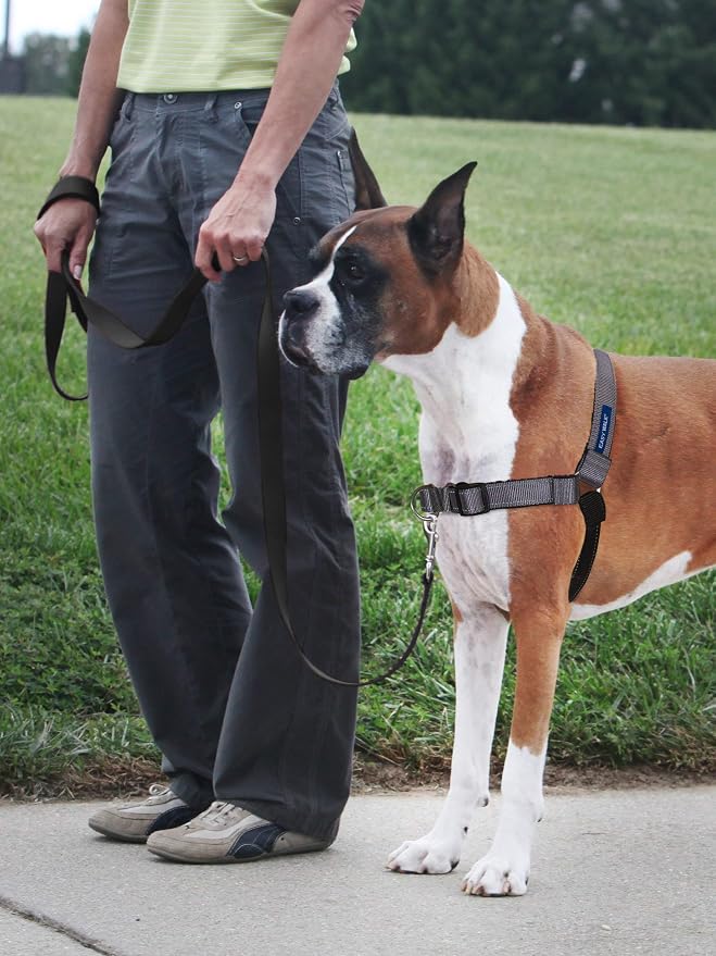 Petsafe Deluxe Easy Walk Harness, Small, Steel Gray, EWH-D-HC-S-STL | Padded Neoprene Straps, Reflective Strips for Night Safety, Martingale Loop Curbs Pulling from the Chest, Not the Throat