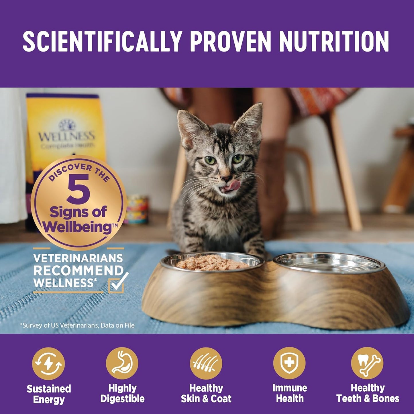 Wellness Complete Health Pate Adult Wet Cat Food, Natural, Protein-Rich, Grain Free, 3 Ounce, 24 Pack, (Turkey & Salmon)