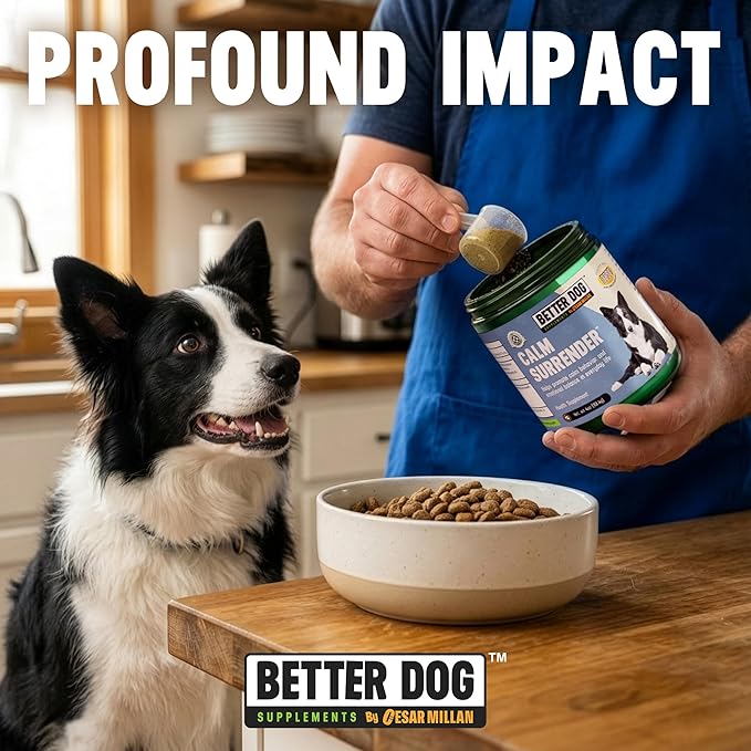 Better Dog Supplements Calm Surrender by Cesar Millan – Natural Dog Calming Powder for Stress, Anxiety, Grooming, Travel & Thunderstorms – Catnip, Chamomile & Valerian – 4oz, (60-Day Supply)
