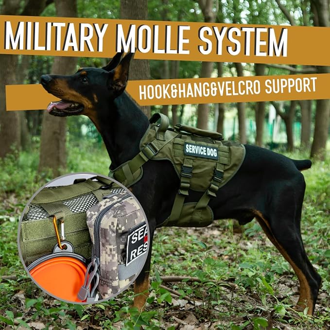 Service Dog Vest for Large Dogs, Green Tactical Harness with Military MOLLE, Breathable Mesh & 39g Metal Buckle - Size M for Training & Hiking