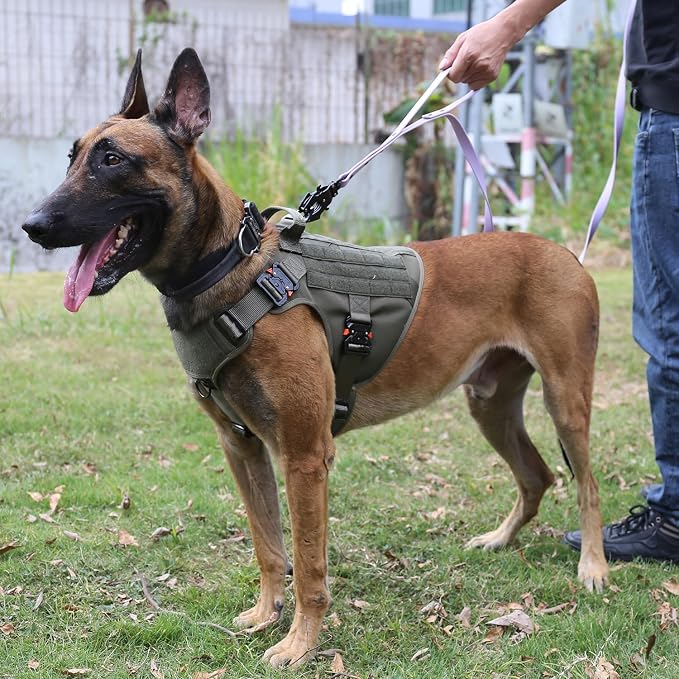 ICEFANG Tactical Dog Harness for Medium Dogs,Full Metal Buckles Dog Vest | with MOLLE, Reflective,Adjustable,2 Leash Clips,Control Handle,No Pull,Soft Padded,Green,Medium