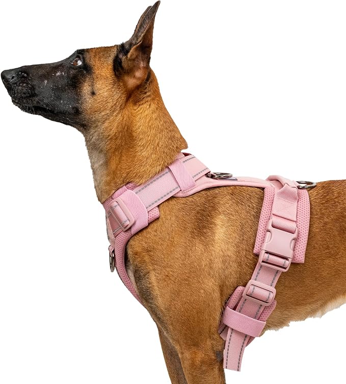 OneTigris Soft Padding No Pull Dog Vest Harness for Medium and Large Dogs | High-tensile Nylon, Adjustable, Reflective, 1 Handle, 3 D-rings, Lightweight, Tough, Easy on/off Tactical Dog Harness