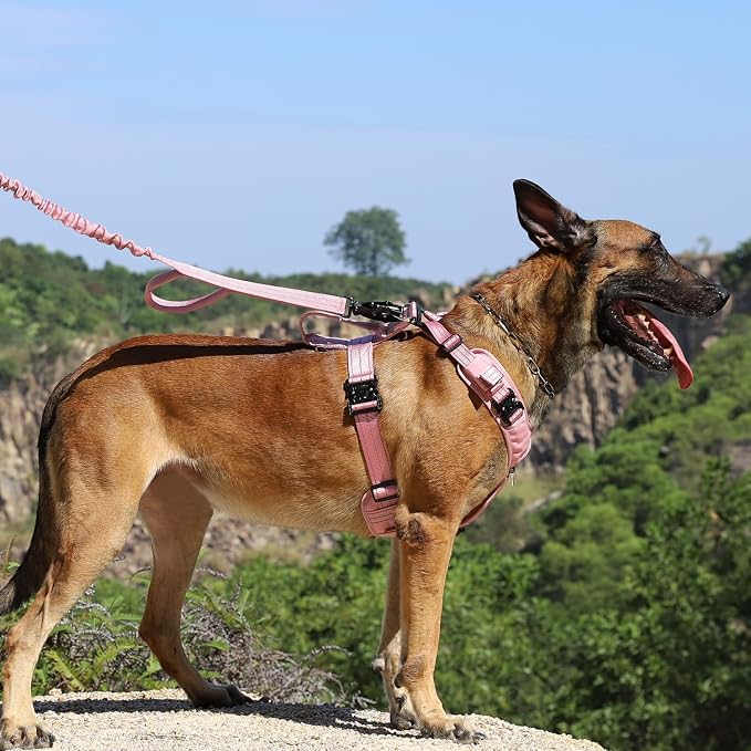 ICEFANG Dog Halter Harness with Metal Buckles,Dog Strap Vest for Medium Dogs