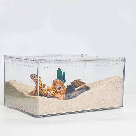 PC Reptile Terrarium, Hermit Crab Tank, Jumping Spider Enclosure, Tarantula Enclosure, Suitable for Gecko, Leopard Gecko, Tree Frog, Lizard, Praying Mantis Habitat Tank Starter (Small)