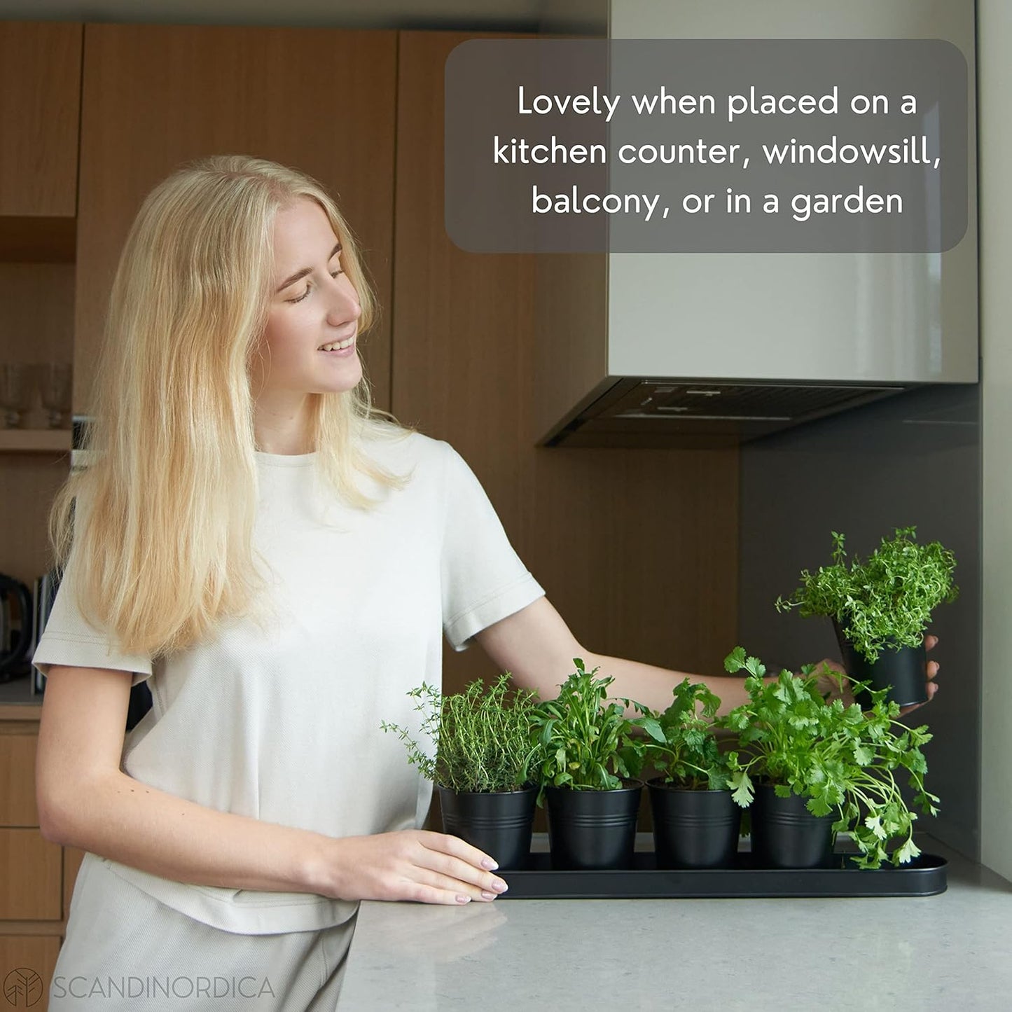 SCANDINORDICA Black Herb Planter – 5 Pots with Drainage Holes and Tray, Windowsill Planter, Herb Pots for Indoor Outdoor Plants | Kitchen & Garden Decor