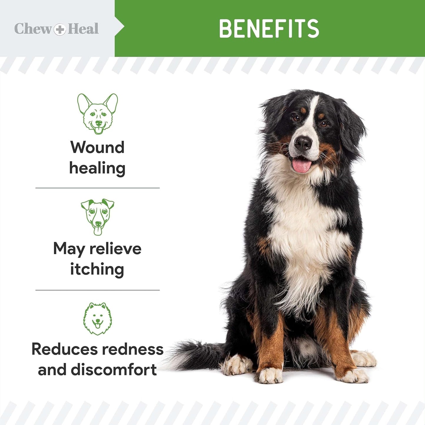 Hypochlorous Acid Spray for Dogs – 4oz Dog Wound Spray for Cuts, Burns, Sores, Abrasions, and More – Non Toxic and Chemical Free HOCI Wound Care – Made in The USA