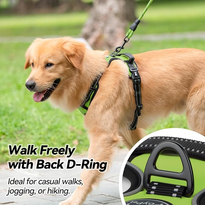 PoyPet No Pull Dog Harness Small with Front Clip & Neck Release Buckle | No Choke, Adjustable Vest, Reflective, Back Clip, Lockable, Soft Padded, Easy Control Handle for Walking Training, S, Green
