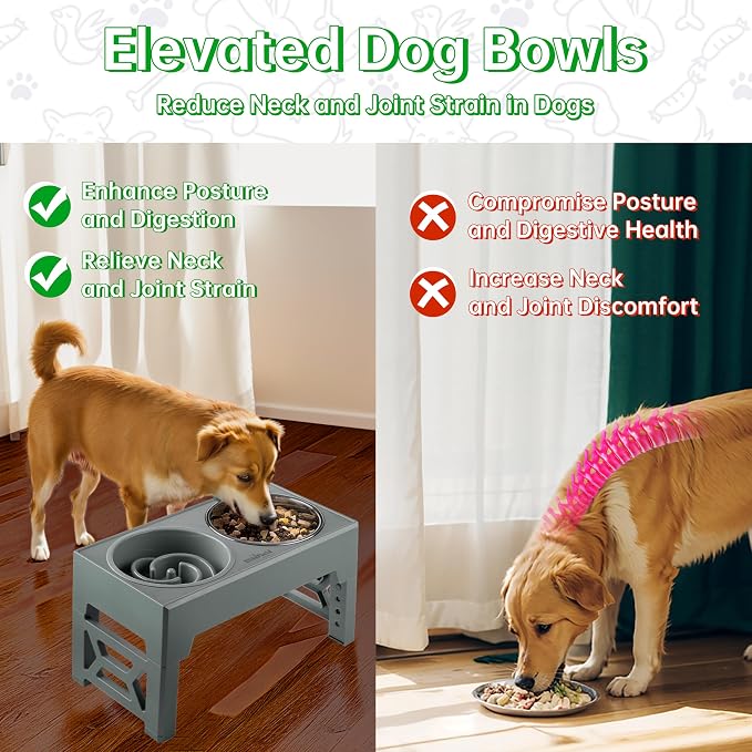 EliteField Elevated Dog Bowls, 2 Stainless Steel Bowls (2-Year Warranty) | 58 oz Bowls, 5 Adjustable Heights, Small to Large Dogs, Foldable, Dishwasher Safe, Anti-Slip Feet