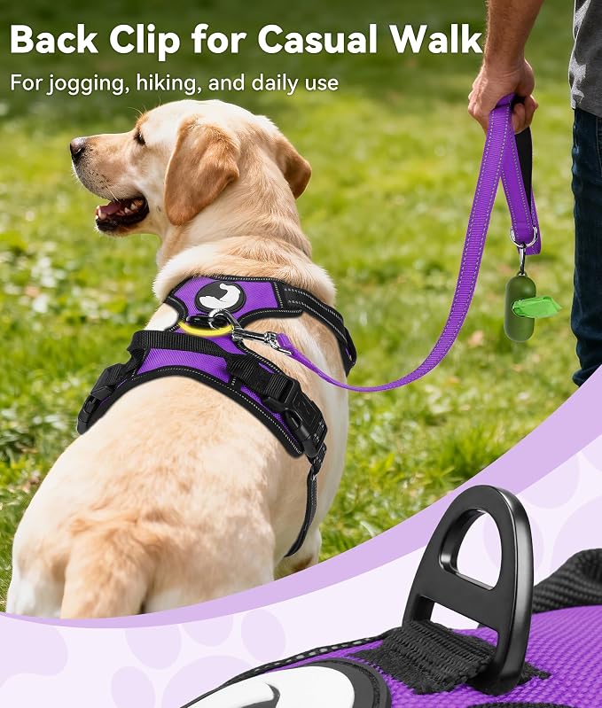 Joytale No Pull Dog Harness for Small Dogs, Front Clip, Purple | Grab Handle for Instant Control, Padded & Adjustable Vest, Sturdy Metal D-Rings, for Safe Training & Daily Walking