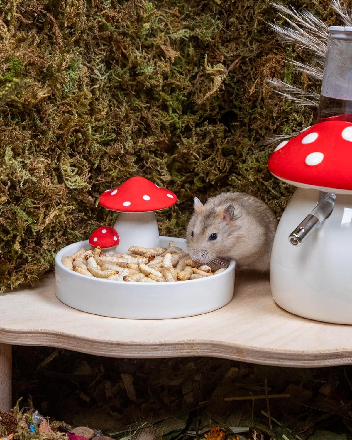 Niteangel Small Animal Snack & Treats - Small Critter Natural Treat for Dwarf Syrian Hamsters Gerbils Mice Sugar Glider Hedgehogs Chickens Birds (Freeze-Dried Worms- 0.9oz (25g))