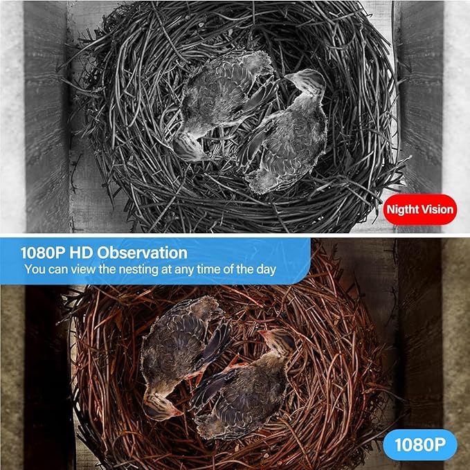 Smart Bird House with Camera, 1080p HD WiFi Outdoor Bird Box. Features Auto Capture Bird Video & Motion Detection, Night Vision, App Alerts and Serves as a Bird Nesting Box (Dark, Normal)