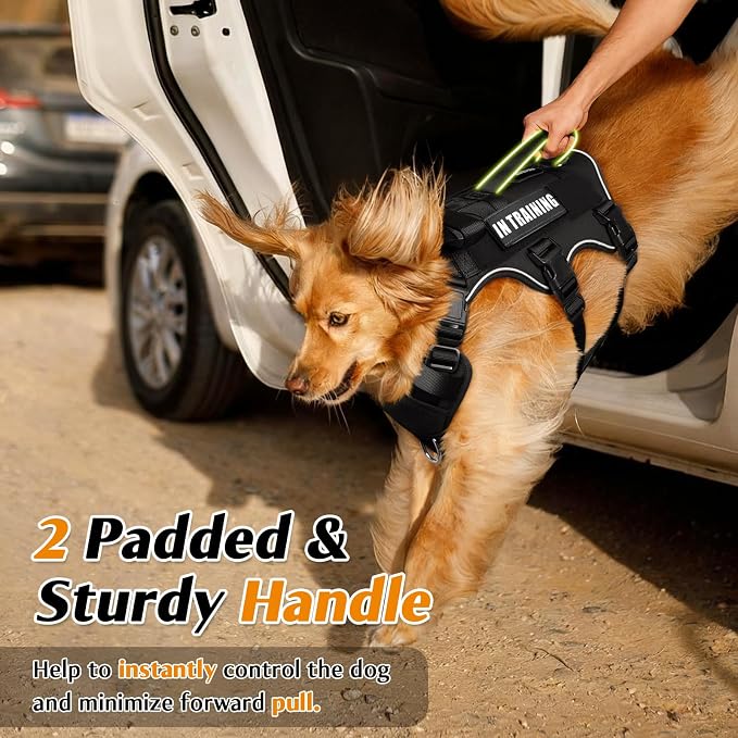 Escape Proof Dog Harness with Double Handle+4 Removable Patches | Service Working Molle Harness with Double Handle for Large Dogs, Tactical Pet Reflective Vest for Walking Hiking Hunting