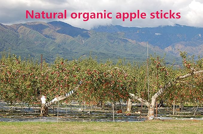 sharllen 500g(18oz) Apple Sticks Pet Chew Toys for Rabbits Chinchilla Guinea Pigs