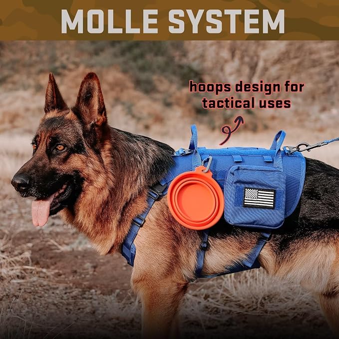 Forestpaw Tactical Dog Harness Collar Bungee Leash Set,M,Blue | Adjustable Fits 22-35" Chest,30-80 lbs,No Pull Control Military Style,Quick Release Buckle,Walking Training for Medium Dogs