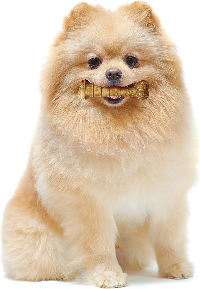 Nylabone Healthy Edibles Natural Dog Chews, Long Lasting Bones for Dogs, Turkey & Apple Flavor Dog Treats, X-Small (12 Count)