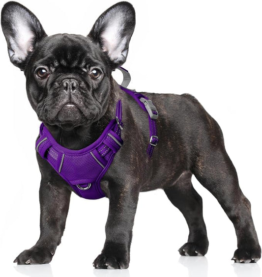 BARKBAY No Pull Dog Harness Large Reflective Dog Harness with Front Clip and Easy Control Handle for Walking Training Running with ID tag Pocket(Purple,S)