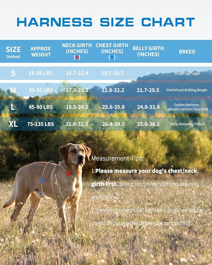 Dog Harness for Large Dogs, No Pull Tactical Vest with Front Clips | Easy Contrl Handle, Breathable Soft Padded, Adjustable, Reflective, Heavy Duty, Easy Take On & Off, Blue X-Large