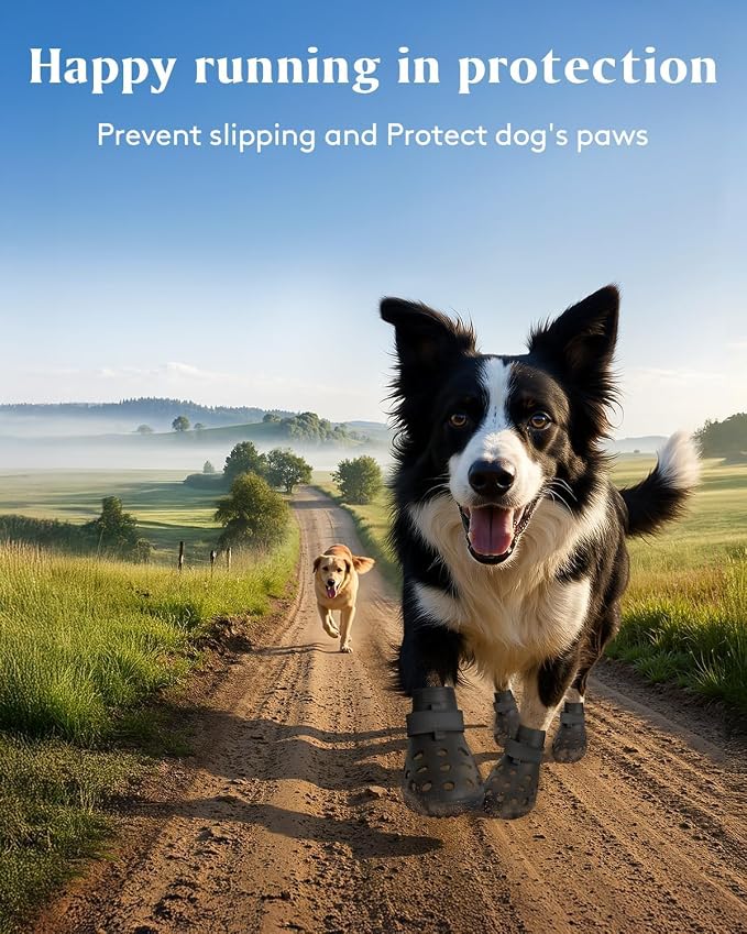 Dog Shoes for Hot Pavement, Breathable Dog Boots Paw Protectors with Adjustable Straps & Non-Slip Sole, Easy On & Off, Waterproof, Easy-Cleaning (Black, XL)