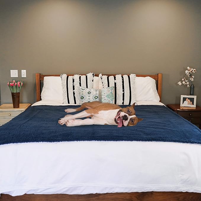 rocket & rex Large Waterproof Dog Blankets | Washable Premium Pet Blanket for Couches and Furniture | Medium - Large Breeds | Reversible Faux Suede, Soft Fleece, Waterproof Interior Layer