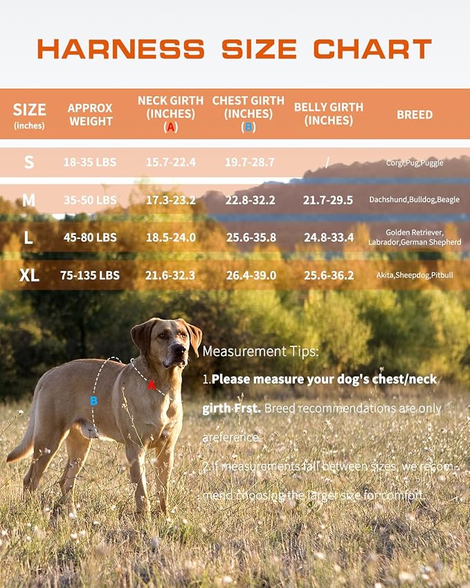 Dog Harness Medium Sized Dog, No Pull Dog Vest with Molle System | Tactical, Easy Control With Handle, Breathable Soft Padded, Adjustable, Reflective, No Choke for Walking, Orange Medium
