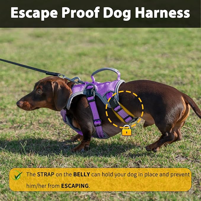 Escape Proof Dog Harness, Dachshund Harness, Reflective Dog Harness with Handle, Durable,Adjustable Vest for Small Medium Large Dogs Walking, Training, and Running Gear (Lavender Purple,S)