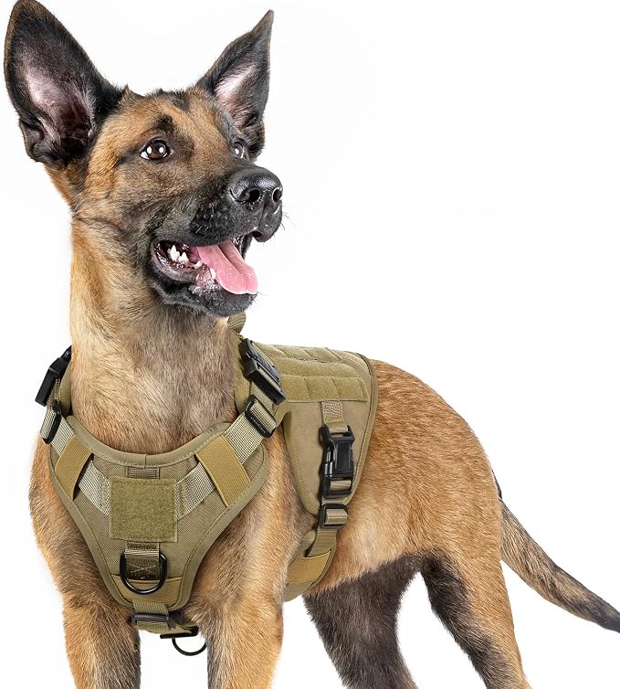 rabbitgoo Tactical Dog Harness for Small, Heavy Duty Military No Pull Vest | Sturdy Metal Buckles, 5 Adjustments, Molle System, Powerful Pullers for Training, Hunting, Outdoor, Brown, Small