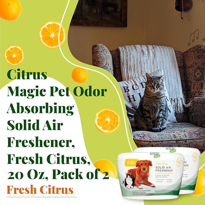 Citrus Magic Pet Solid Air Freshener, Pet Odor Eliminator for Home, Odor Absorber for Dog & Cat Areas and Litter Boxes, Fresh Citrus, 20 Ounces (Pack of 6)