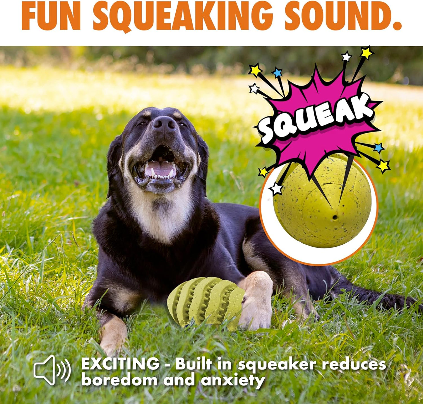 Max Fusion with Nike Grind, Arlee Spiro Football Treat Dispensing Dog Toy, Durable Dog Treat Toy, XL