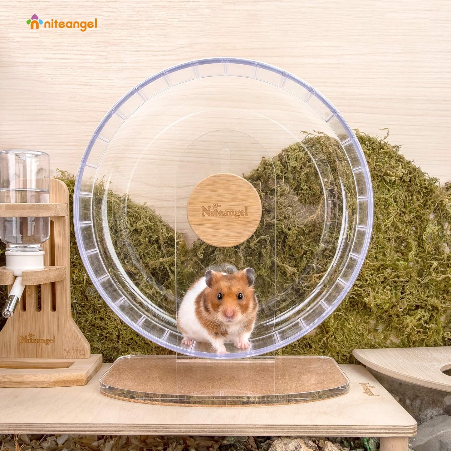 Niteangel Super-Silent Hamster Exercise Wheels - Quiet Spinner Hamster Running Wheels with Adjustable Stand for Hamsters Gerbils Mice Or Other Small Animals (M, Transparent)