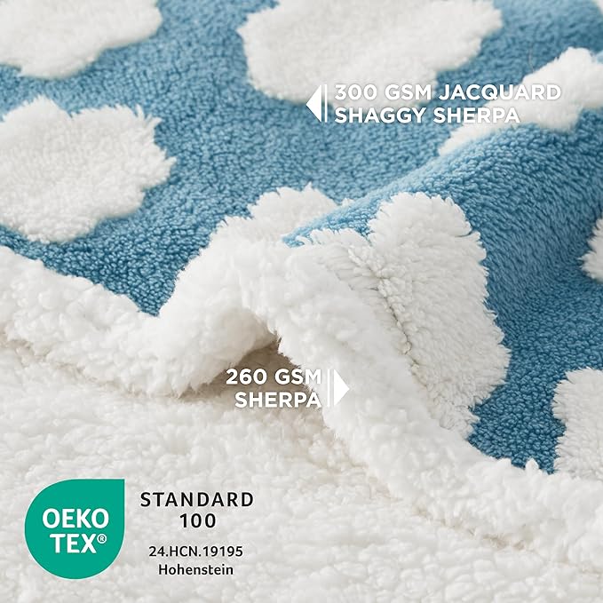 LE SURE Waterproof Dog Blankets for Medium Dogs Cute 3D Jacquard,30x40 | Puppy Blanket for Cat Aesthetic Gift, Warm Soft Sherpa Throw Washable, Reversible Pet Couch Protector, Cozy Clouds Blue
