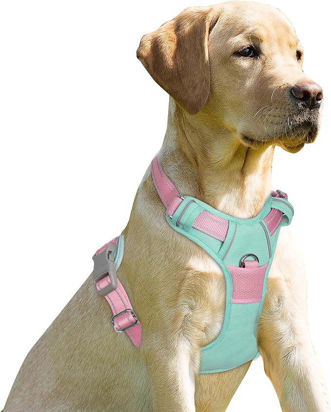 BARKBAY Dog Harness No Pull for Small Sized Dog Front Back Clips,Dog Vest | Soft Padded No Choke With Handle,Easy On&Off,Adjustable Reflective For Walking Training Running(Cool Mint & Baby Pink,XS)
