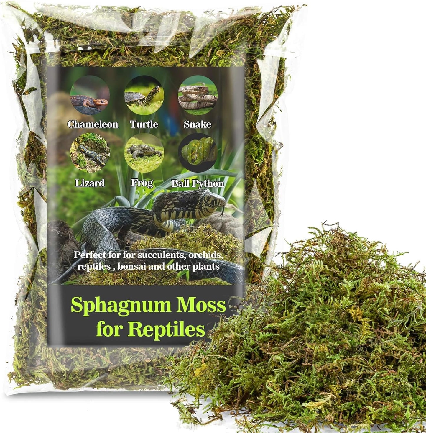 Sukh Sphagnum Moss for Reptiles - Terrarium Reptiles Moss Green Dried Peat Moss Habitat Bedding Moss for Snakes Turtle Frog Gecko and Other Reptiles Substrate (5, Ounces)