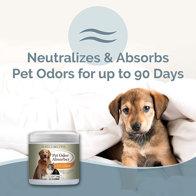 SMELLS BEGONE 15oz Gel Pet Odor Eliminator - Absorb & Remove Strong Odors from Pets, Cat Litter, Dog Poop, Urine Smells - Eliminate Whole Home Odors with Essential Oils (2-Pack, Pet Citrus)